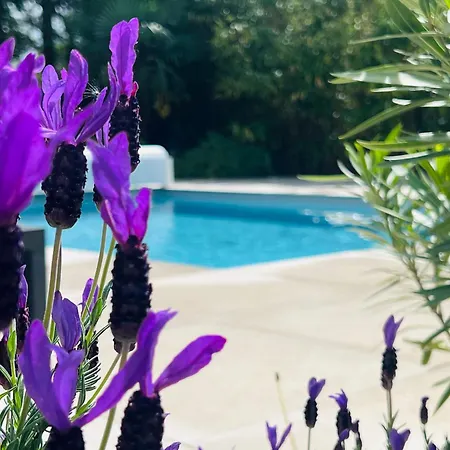 Poujeau - Climatisee - Piscine Au Sel - Systeme Anti Moustique