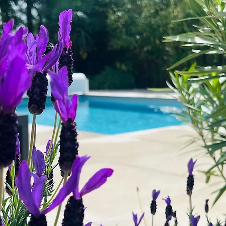 Poujeau - Climatisee - Piscine Au Sel - Systeme Anti Moustique فيلة Le Pian-Médoc